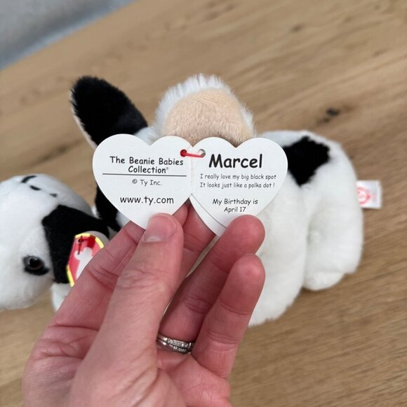 Ty Beanie Babies Marcel Dog Jingle Dizzy the Dalmatian LOT of 2 Dogs Animal Pet - Picture 4 of 9